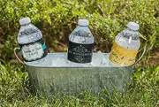 Baby Q Chalkboard & Gingham Baby Shower Reveal Party Water Bottle Labels