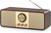 Nostalgia Radio, Retro Radios with Bluetooth and TF Card, 3000 mAh Battery Operated, with 2 x 8 Watt Subwoofer, Retro Radios with AUX/USB, Radio for Kitchen/Bedroom/Office