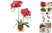 Artificial Orchid Flowers Fuchsia Faux Orchids with Ceramic Vase Vivid Fake