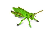 CollectA - Grasshopper Animal Figurine
