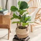 Greenery Floral Arrangement Artificial Ficus Branch Fake Plant Faux Leaves