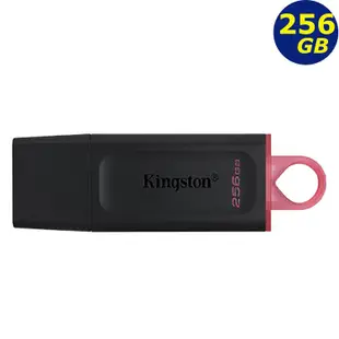 Kingston DTX 32G 32B 64G 64GB 128G 256G USB 3.2 金士頓 隨身碟