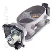 PAT Fuel Injection Throttle Body - TBO-061