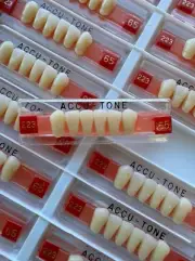 Acrylic Resin False Teeth Accu-tone Anterior lower A3-223 dentures box -120pcs