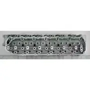 Nason Cylinder Head - Bare - 960000