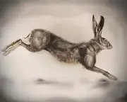 Vintage "Leaping Hare" Folk Art Drawing Print on Antique Parchment | Witchy Art