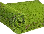 Gatuida Micro Landscape Artificial Moss Realistic Faux Moss Decor for for DIY Landscaping Wall Art and Potted Plants Light