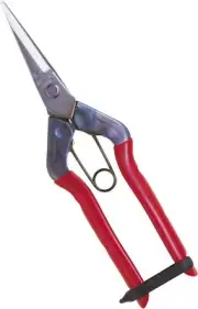 Chika masa stainless bud shears T-550S (japan import)
