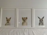 Nursery Pictures, Framed Prints, Animal Print, Sharon Montrose, Baby Room,
