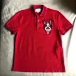 保證正品 GUCCI 紅色 憤怒貓 刺繡 短袖 POLO衫 SIZE M