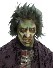 Undead Beethoven Walker Flesh Eater ADULT GREEN GRAY MALE ZOMBIE WIG