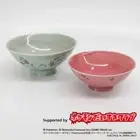 Pokemon Chansey Rice Bowl 2 Pink & Green Set Soma-Yaki Made in Japan NEW