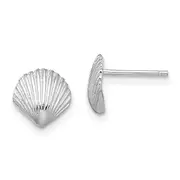 14K White Gold Scallop Shell Post Earrings