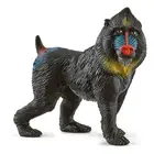 SCHLEICH Wild Life Mandrill Toy Figure, Multi-colour (14856) (US IMPORT)