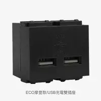 在飛比找Yahoo!奇摩拍賣優惠-JYE中一USB充電雙插座ECO摩登款JY-E1824GB