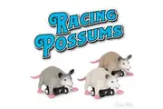 Archie McPhee Pull Back Racing Toy - Possum