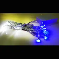 在飛比找森森購物網優惠-摩達客 聖誕燈 LED燈串20燈電池燈 (藍白光)(透明線)