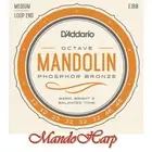 Octave Mandolin Strings - D'Addario EJ80 Phosphor-Bronze Wnd Med 12-46 - NEW