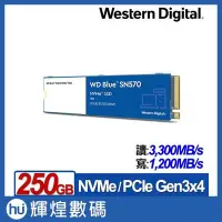 在飛比找Yahoo!奇摩拍賣優惠-WD 藍標SN570 250GB SSD PCIe NVMe