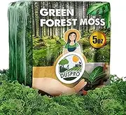 Duspro Green Moss for Crafts, Artificial Potted Plants, Decorative Table Centerpieces Wedding Christmas Fairy Party Decor, Faux Indoor Planters, DIY Project 140gr