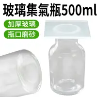 在飛比找momo購物網優惠-【RYAN】玻璃集氣瓶 500ml 分裝罐 化學儀器 實驗室