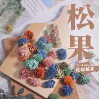 在飛比找蝦皮購物優惠-聖誕節 彩色松果 松果 染色 毬果 |  2-4公分 | 最