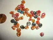 Multi-Colored Small Miniature Snail Shells - package of 1/4 oz