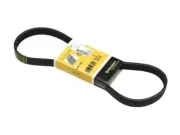 Accessory Drive Belt For 10-16 Mini Cooper Countryman Paceman Convertible WQ82M2 (for: Mini)