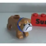 【積木2010】樂高 LEGO 牛奶糖色 鬥牛犬 / 法鬥 / 小狗 BULLDOG 動物 / 60258