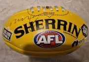 Signed Taylor Walker AFL - MINI BALL- Adelaide Crows