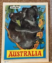 1960S KOALA BEARS IN TREE AUSTRALIAN SOUVENIR CAR AUSSIE DECAL STICKER UNUSED!