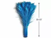 50 Pieces - 30-35" Turquoise Blue Bleached & Dyed Peacock Tail Eye Feathers
