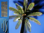 Profi Modeller 1/48, HO Scale Small Palm Tree (110mm)