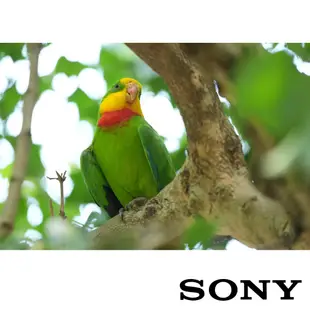 SONY A7M4K a7 IV ILCE-7M4K 單機鏡頭組 28-70mm 全片幅混合式相機 公司貨 現貨廠商直送