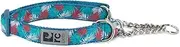 RC Pets 1" Martingale Training Dog Collar, Large, Maldives