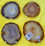 NWT WEST ELM SAN FRANCISCO MENS WOMENS AGATE CRYSTAL COASTERS GOLD RIM SET of 4
