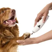 Pet Electric Nail File