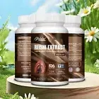 Reishi Extract - Immune System & Nervous System Support, Lung & Cognitive Health