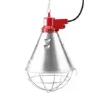 Infrared Red Heat Lamp Bulb With Hi Low Setting Light For Chicks Pig Poultry