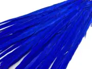 50 pcs18-22" Midnight Blue Ringneck Pheasant Tail Wholesale Feathers Supplier