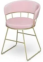 GFCVCSZDAS Girl Makeup Chair Simple Dressing Table Stool Net Red Ins Dining Bedroom Back