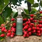 Rosehip Toner - Vitamin-Packed Rosehip Elixir - Renew and Rejuvenate Your Skin