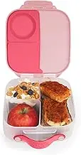 Mini Lunchbox (Flamingo Fizz)