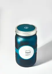 [Modern Sprout] Basil Garden Jar