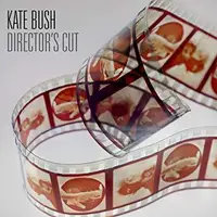 在飛比找誠品線上優惠-Director's Cut (2LP/180g Vinyl