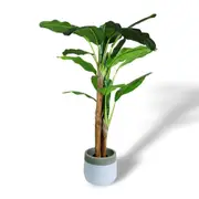 180cm Faux Artificial Fake Potted Banana Tropical Tree Plant Office Home Decor