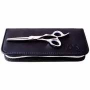 Fox Rose Silver Premium Professional Hair Lighteners in Case