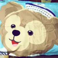 在飛比找蝦皮購物優惠-香港迪士尼 樂園 達菲熊 枕頭套 裝飾擺飾 純棉