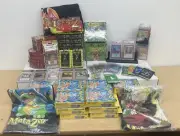 Metazoo Collection Lot - Cryptid Nation 1, CN2, Nightfall, Wilderness