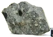 NWA 14456 H6 Chondrite meteorite 66g containing rare remnant chondrules meteorit